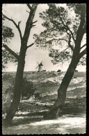 Le Moulin De Daudet  - Provence-Alpes-Côte D'Azur