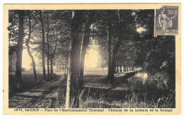 SAUJON  Chemin De La Laiterie De La Grange édition Et Cliché Le Guistrennec  Carte Rare - Saujon