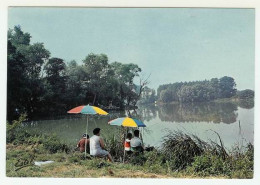 ARDRES  Journée De Pèche Sur Le Lac Année 1971 Editions Estel  - Ardres