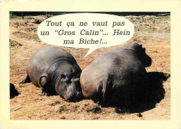 Animaux - Hippopotames - Carte à Message - Humoristique - CPM - Voir Scans Recto-Verso - Hipopótamos