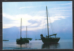 CHINE. Carte Postale Pré-timbrée De 1988. Bateaux Traditionnels Chinois. - Postales