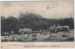 Paliseul - Deelgemeente Carlsbourg - Het Oogsten Van Hooi (Dupont) (gelopen Kaart Van Voor 1900 Met Zegel) - Paliseul