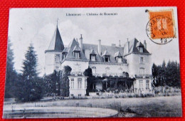 LIBRAMONT  -  Château De Roumont - Libramont-Chevigny