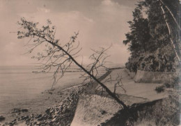 19568 - Koserow - Ufermauer Am Streckelberg - 1960 - Usedom