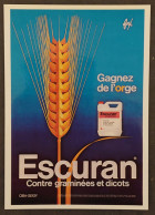 Carte Postale - Affiche Pour Un Désherbant "Ciba-Geigy" (1981) Illustration : Foré (épi D'orge) - Fore