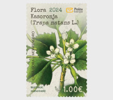 Montenegro - Postfris / MNH - Flora 2024 - Montenegro