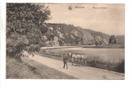 Waulsort Route De Dinant - Hastière