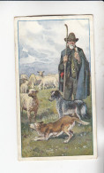 Actien Gesellschaft Hunde - Rassen U Ihre Verwendung Schäferhund    Serie  46 #3 Von 1900 - Stollwerck