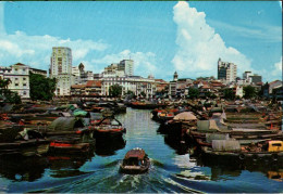 ! Moderne Ansichtskarte Aus Singapur, Singapore, Boars, 1975 - Singapore