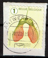 België / Belgique / Belgium / Belgien Esdoorn 2021 (OBP 5026 ) - Gebruikt