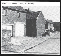 1980  --  BELGIQUE . TROGNEE . FERME . 4A727 - Zonder Classificatie