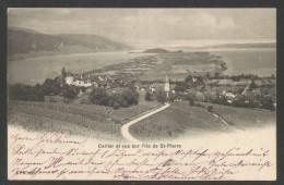 Carte P De 1904 ( Cerlier Et Vue Sur L'Ile De St-Pierre ) - Cerlier