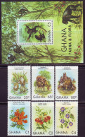 GHANA - FAUNA + FLORA - BIRDS CHIMPANZES - **MNH - 1982 - Chimpancés
