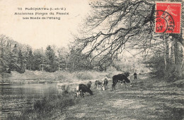 Pléchâtel * Anciennes Forges Du Plessix * Les Bords De L'étang - Autres & Non Classés