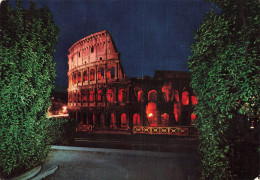 ITALIE - Roma - Le Colisée - Carte Postale - Colisée