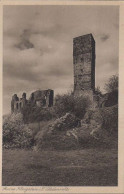 32480 - Königstein - Ruine, Südansicht - Ca. 1950 - Koenigstein