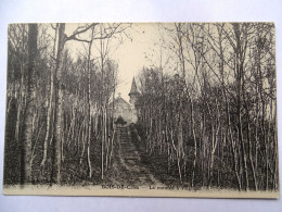 LE BOIS-DE-CISE. La Montée à L'Eglise - Bois-de-Cise