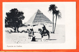 33848 / ⭐ LE CAIRE  Cairo Pyramide De CHEFFREN Arbre Palmiers 2 Dromadaires 1900s  Egypte Egypt - Cairo