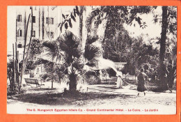 33792 / ⭐ ♥️ LE CAIRE The G. NUNGOVICH Egyptian Hotels CY Jardin Grand Continental Hotel 1910s Simi-Bromure BREGER  - Cairo