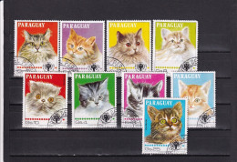 SA03 Paraguay 1979 International Year Of The Child Cats Postage Airmail Used - Paraguay