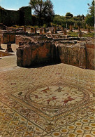 Portugal - Conimbriga - Casa Dos Repuxos. Mosaico De Caçada Ao Veado - Maison Des Jeux D'eau, Mosaïque De La Chasse Au C - Coimbra