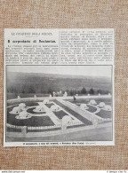 Il Serpentario Di Butantan Nel 1914 San Paolo Brasile - Autres & Non Classés