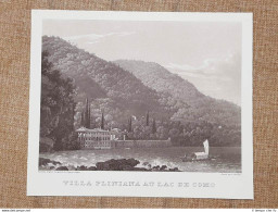 La Villa Pliniana Sul Lago Di Como Incisione Di L. Cherbuin Del 1840 Ristampa - Autres & Non Classés