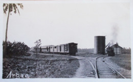 Real Photo RPPC -  ARGAO In CEBU Teo Trains - Philippinen