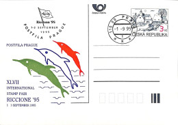 [500368]TB//O/Used-Tchécoslovaquie 1995 - 110 00 PRAHA, Riccione'95, Dauphins, Animaux, Vie Marine - Cartes Postales