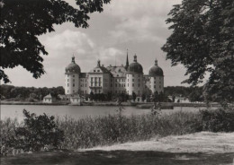 81899 - Moritzburg - Schloss, Barockmuseum - 1983 - Moritzburg