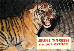 Animaux - Tigres - Carte Humoristique - CPM - Voir Scans Recto-Verso - Tiger