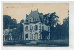 89 BLENEAU #19089 LE CHATEAU COUDRAY - Bleneau