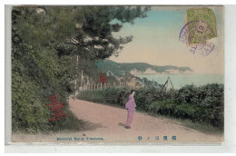 JAPON JAPAN #18696 MISSISSIPI BAY AT YOKOHAMA - Yokohama