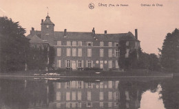 Éghezée - DHUY / Château De Dhuy - Eghezee