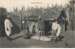 MADAGASCAR #27915 FICELAGE HORIZANE MORT - Madagascar