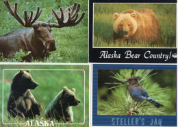 LOT DE 81 CARTES MODERNES ANIMAUX GRAND NORD, AFRIQUE,  PANDAS, CHEVAUX, OISEAUX, ANIMAUX DE LA FERME..... - 5 - 99 Cartes