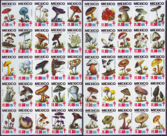 MEXICO - TBC MUSHROOMS - **MNH - 1985 - Paddestoelen