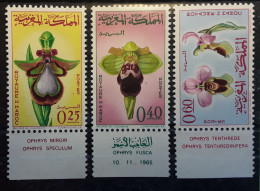 MAROC 1965 Serie Orchidée Orchid , Ophrys Miroir, Fusca, Tenthrede  Yvert 494 / 496 Neuve ** MNH TB - Orchideen