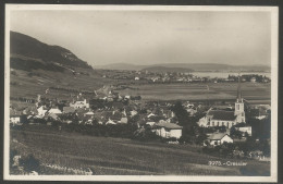 Carte P De 1931 ( Cressier ) - Cressier