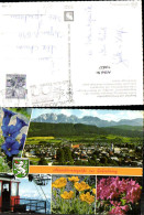 714827 Mehrbild AK Schladming Alpenflora Enzian Seilbahn Gondel - Ramsau Am Dachstein