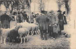 CPA 86 MIREBEAU EN POITOU / LE CHAMP DE FOIRE - Mirebeau