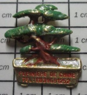 2020  Pin's Pins / Beau Et Rare / MARQUES / ARBRE BONZAI PEPINIERES DE CHINE Grand Pin's - Associations
