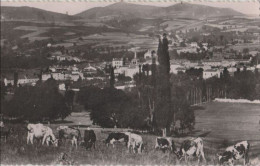 84756 - Frankreich - Noiretable - Vue Generale - Ca. 1960 - Noiretable