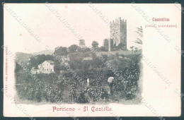 Arezzo Casentino Porciano Castello Cartolina JK4592 - Arezzo