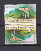 LESOTHO 1983 TIMBRE N°536a NEUF** CHAMPIGNONS - Lesotho (1966-...)