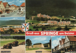 97217 - Springe - U.a. Im Wisentgehege - 1980 - Springe