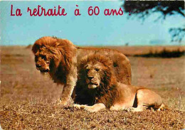 Animaux - Lions - Carte Humoristique - CPM - Voir Scans Recto-Verso - Leones