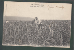 CP - Rég. - La Champagne - Travail De La Vigne - Le Liage - Champagne-Ardenne