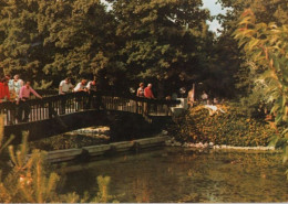 65349 - Bad Füssing - Kurpark-Anlage - 1986 - Bad Füssing