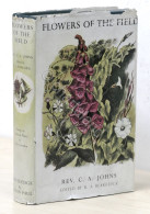 C. A. Johns - Flowers Of The Field - Ed. 1949 - Altri & Non Classificati